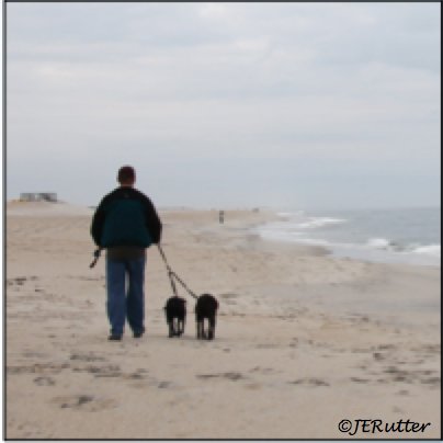JERutter's tweet photo. 6 #BOU17TC
Going to take ppl to cont #GLPIPL success.
More ed/outreach needed.
Compromise is good 1st step. More dog beaches is strong rec. Helps everyone have designated safe space. Affordable too!
Thx to all who supported this work.
Happy to answer questions!
#ornithology https://t.co/sViS0RFViX