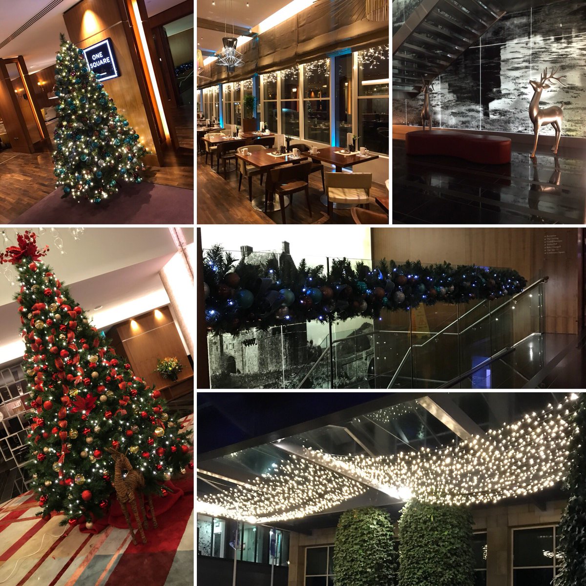 ChristmasDecEdi's tweet photo. Christmas arrived at the Sheraton last week #edinburgh #christmas https://t.co/BITe9gIfb2