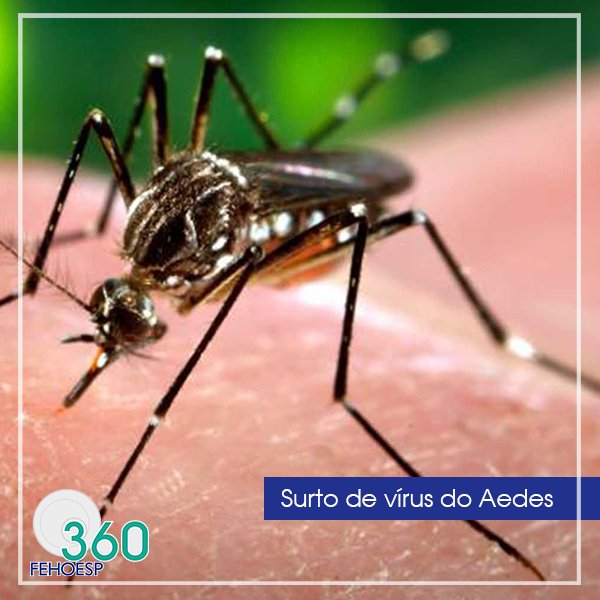 FEHOESP's tweet photo. Na região Sudeste predominou os depósitos móveis, caracterizados por vasos/frascos com água e pratos.
#Saúde #ZikaVirus #Dengue #Chikungunya #Aedesaegypti #Alerta #FEHOESP360 https://t.co/81ufyUFabD