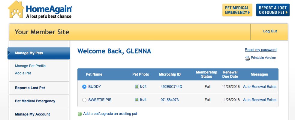 GlennaAlmond's tweet image. Sweet Buddy wants everyone to update their pet info today!  #EOBuddy #updatephone #updateaddress #Homeagain