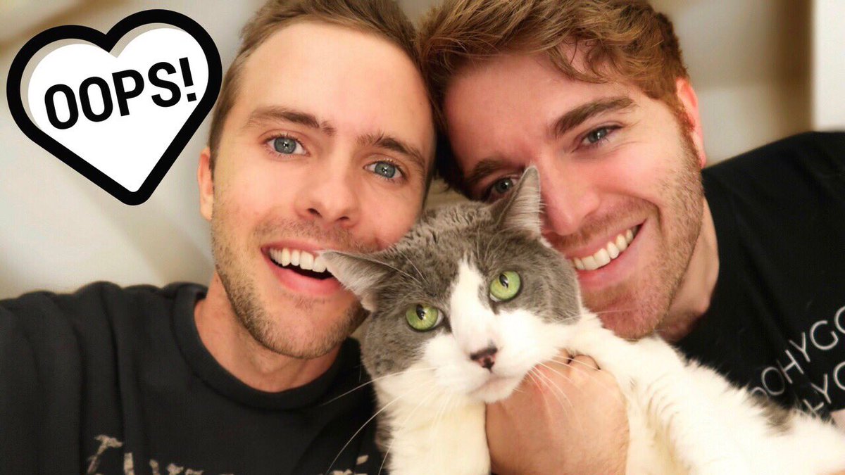 Ryland_Adams's tweet photo. NEW VIDEO! WE GOT ANOTHER CAT https://t.co/MFsA1KeFuN https://t.co/LURMZ8jH7h