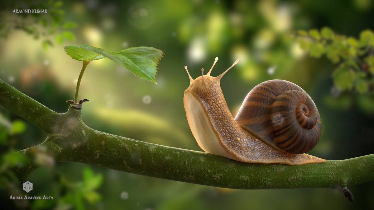 cgsociety's tweet photo. Snail by Aravind Kumar
Image Details- https://t.co/OOtOtPY4wp https://t.co/RwxjtpO0kE