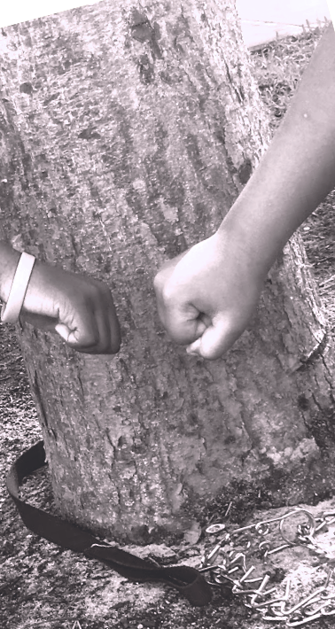 animals_of_SFl's tweet photo. #fighttherightfight ---M.A; grade 7 https://t.co/pF1scA9oK4