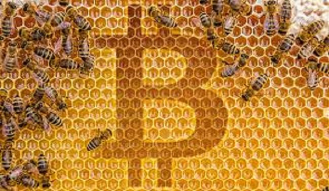 JoeManzanares's tweet photo. I think I'll do my own #bitcoin fork where each transaction is time-stamped and must be filled in order, with low fees and 8MB blocks and new super compression. I will name it #BeeCash 🐝
#BitcoinCash #BitcoinGold #BitcoinDiamond https://t.co/0i6xITyR8g