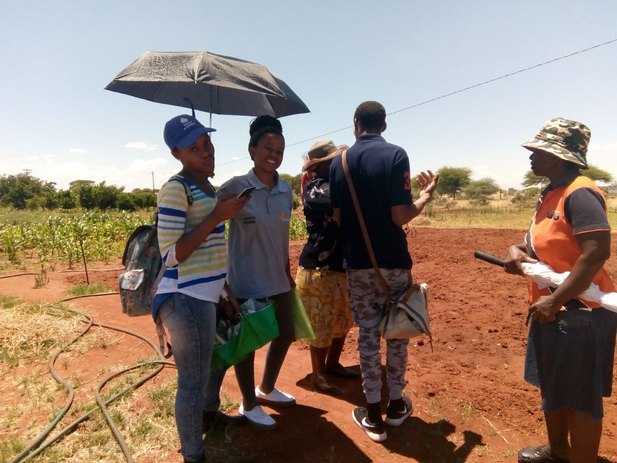 Successful 2017 camp. Community work.