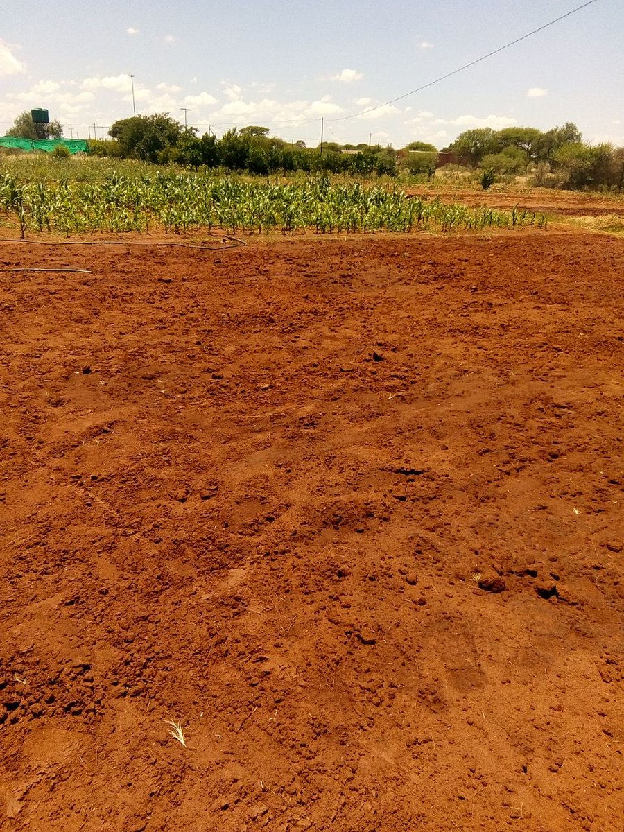 Enactus NWU Mafikeng (@enactusnwumaf) on Twitter photo 