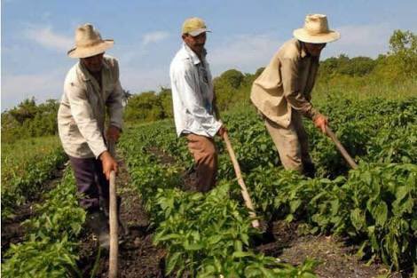 gerardosalasd's tweet photo. Motivar e impulsar la labor del campesino es de vital importancia para el crecimiento económico local como Nacional.
#GenerandoAcciones
#TrabajoLegislativo
#TrabajandoJuntos https://t.co/7IRPrRhqgi