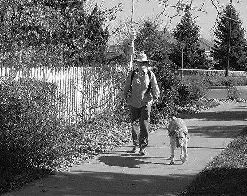 On this #GivingTuesday, consider becoming an #ElderDog Canada member, volunteer and/or donor and help support the ageing dogs and ageing people in your community! Visit elderdog.ca for more about ways to donate, and be sure to check out our online store at elderdogcanadastore.ca!