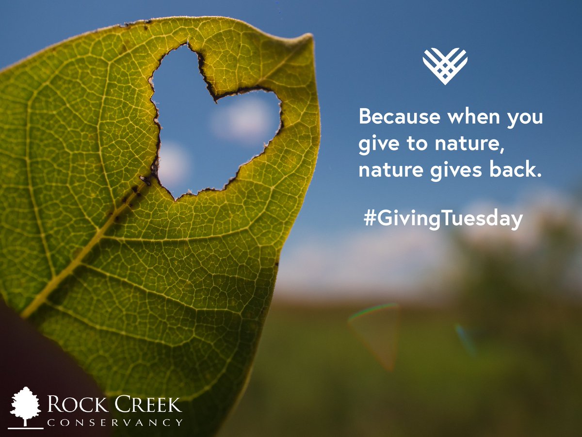 LoveRockCreek's tweet image. We're so close to $2000, which is how much we raised last year! Help us reach new heights! #LoveRockCreek