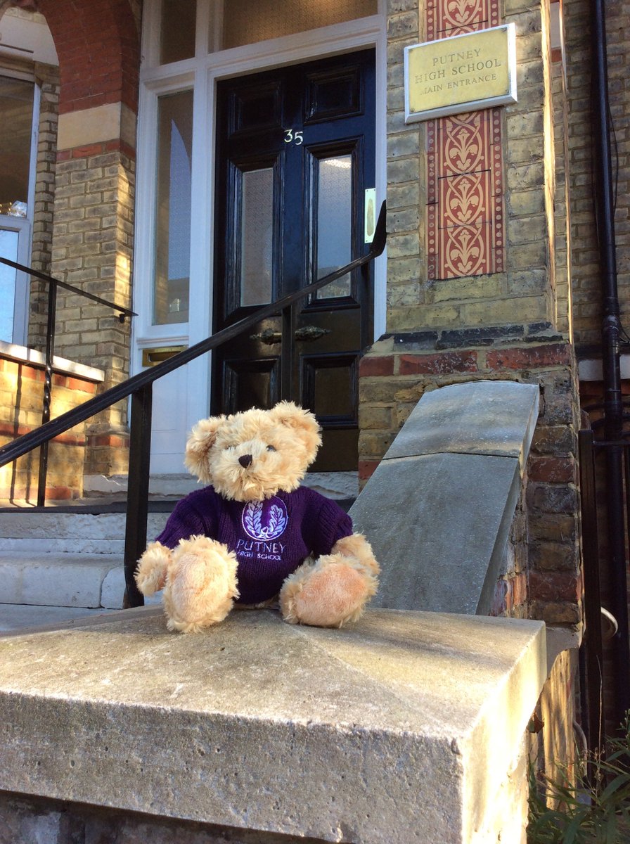 PutneyAlumnae's tweet image. Putney Alumnae #Follow and #RT for a chance to win this adorable Putney Teddy bear #putneybear