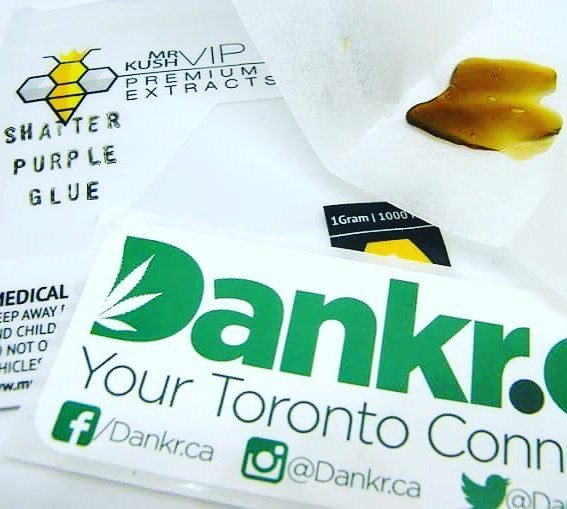 Dankr_Cannabis's tweet photo. New shatter review on Dankr.ca of Mr Kush VIP concentrates! All three strains were tasty!
Full review here after 4pm release:
https://t.co/Gk3rvYfa97
@mrkushvip @dankr.ca #mrkushvip #edible #medible #thc #dankrreview #dankr #toronto #420toronto #smoke… https://t.co/0hE58VGaG3 https://t.co/HV7Zs9JpOg