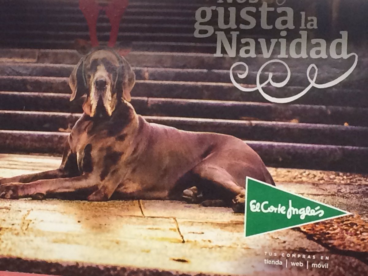 No me puede gustar más la campaña de <a href="/elcorteingles/">El Corte Inglés</a> #vivanlosperros #Dogs #Navidad 😍😍😍