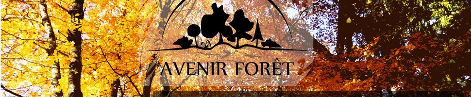 LeLotenAction's tweet photo. Chronique forestière : martelage à Branceilles, interview radio : https://t.co/ZfSWMrSbKM #LEA #Lot @Avenirforet #Foret #bois https://t.co/WKxJyPTuRF