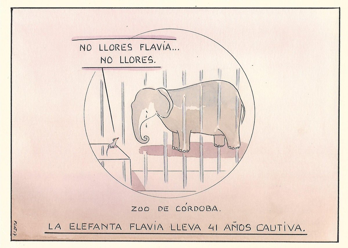 Viñeta especial dedicada a Flavia...la imagen de la soledad.