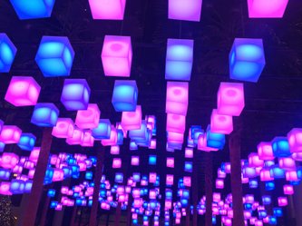 SP+ New York tweet media