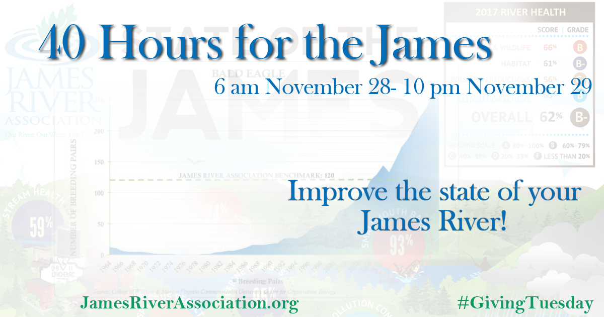JRAvirginia's tweet photo. #BaldEagles are a success story for the #JamesRiver! They have reached our benchmark for the 2017 #StateoftheJames report. https://t.co/xcyANoVgMA #GivingTuesday #40Hours https://t.co/PBQvs2MoVz