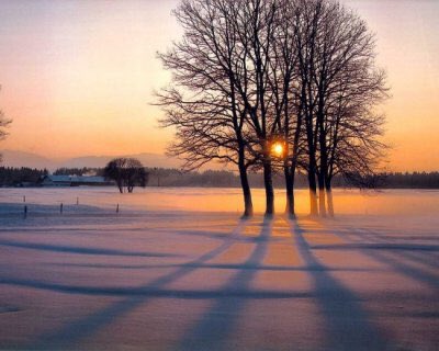 Impara a stupirti del sole che sorge
ammira gli alberi che si sono spogliati 
per resistere all’inverno
fa attenzione anche ad un muro scrostato:
tutto ciò che vedi anche con il cuore
ti darà consolazione e lezione.