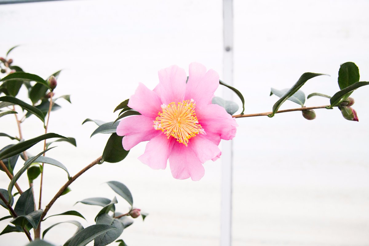 Chehalem Park & Rec tweet media