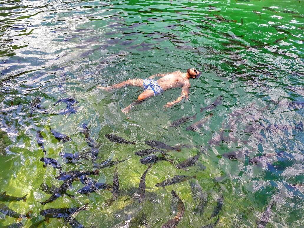 BonitoMSOFICIAL's tweet photo. ''Aquela energia boa que só a natureza trás.''

by:@lluizportes

Conheça Bonito com a #AgenciaSucuri

https://t.co/0PT3Tmrozg https://t.co/1OrkGjuXEb