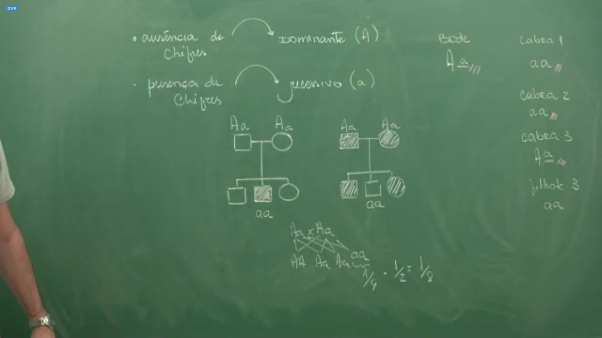 SeguraOPrint's tweet photo. Foca: Exercícios sobre primeira lei de Mendel, polialelia, sangue e sexo - Parte 2 https://t.co/nsEh2cXkcm