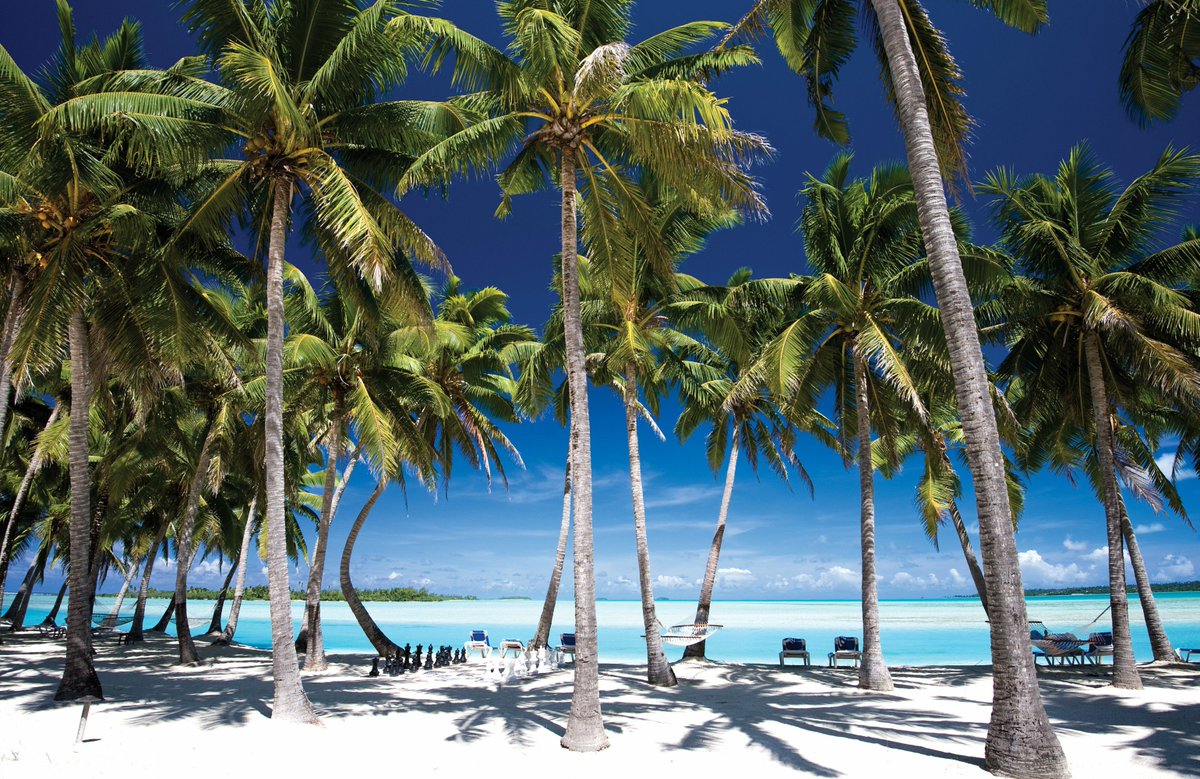 ¿Has planeado tu próximo #viaje durante tus próximas #vacaciones? ✈️ ow.ly/Qcwb30gkWmE