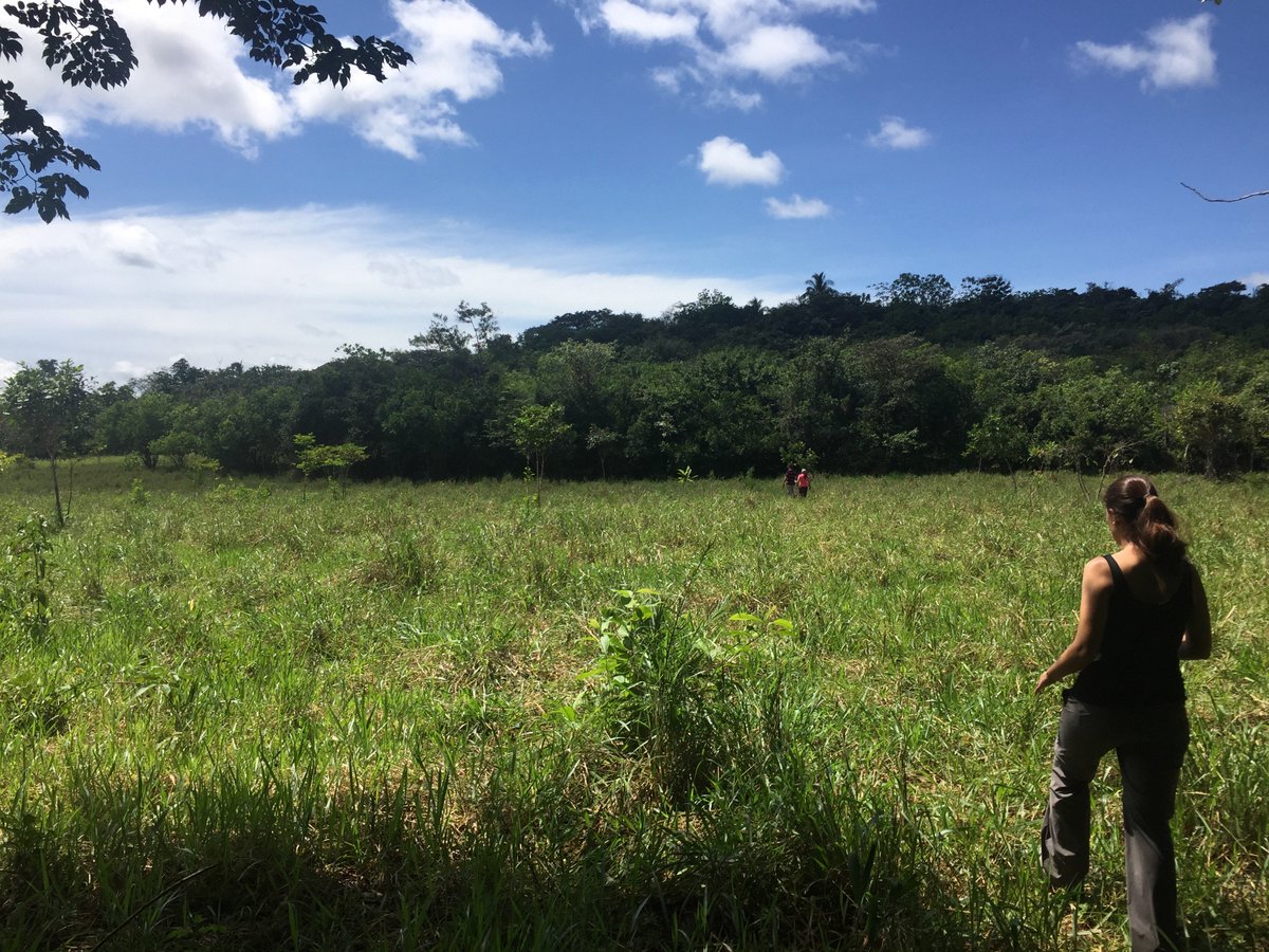 mfbeardsley's tweet photo. Wondering why #Panama? Well, it was accessible by #bus from #costarica and our friend Stella asked for help on what we are calling the #PanamaProject. Looking at some family properties to help market them and brainstorm ideas. Here's our first trip to #Cañazas #TravelTuesday https://t.co/mQO9ihQGof