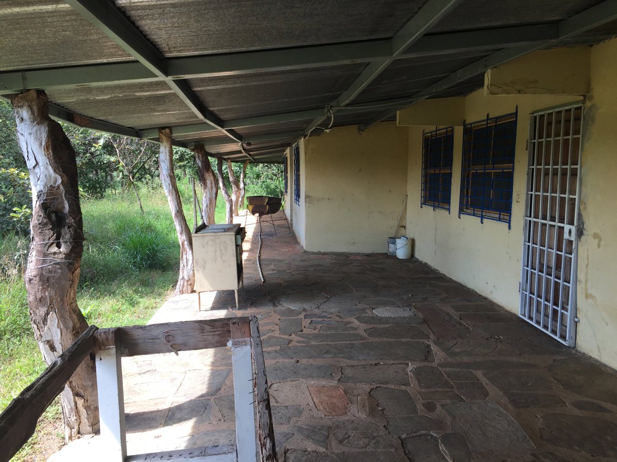 mfbeardsley's tweet photo. Wondering why #Panama? Well, it was accessible by #bus from #costarica and our friend Stella asked for help on what we are calling the #PanamaProject. Looking at some family properties to help market them and brainstorm ideas. Here's our first trip to #Cañazas #TravelTuesday https://t.co/mQO9ihQGof