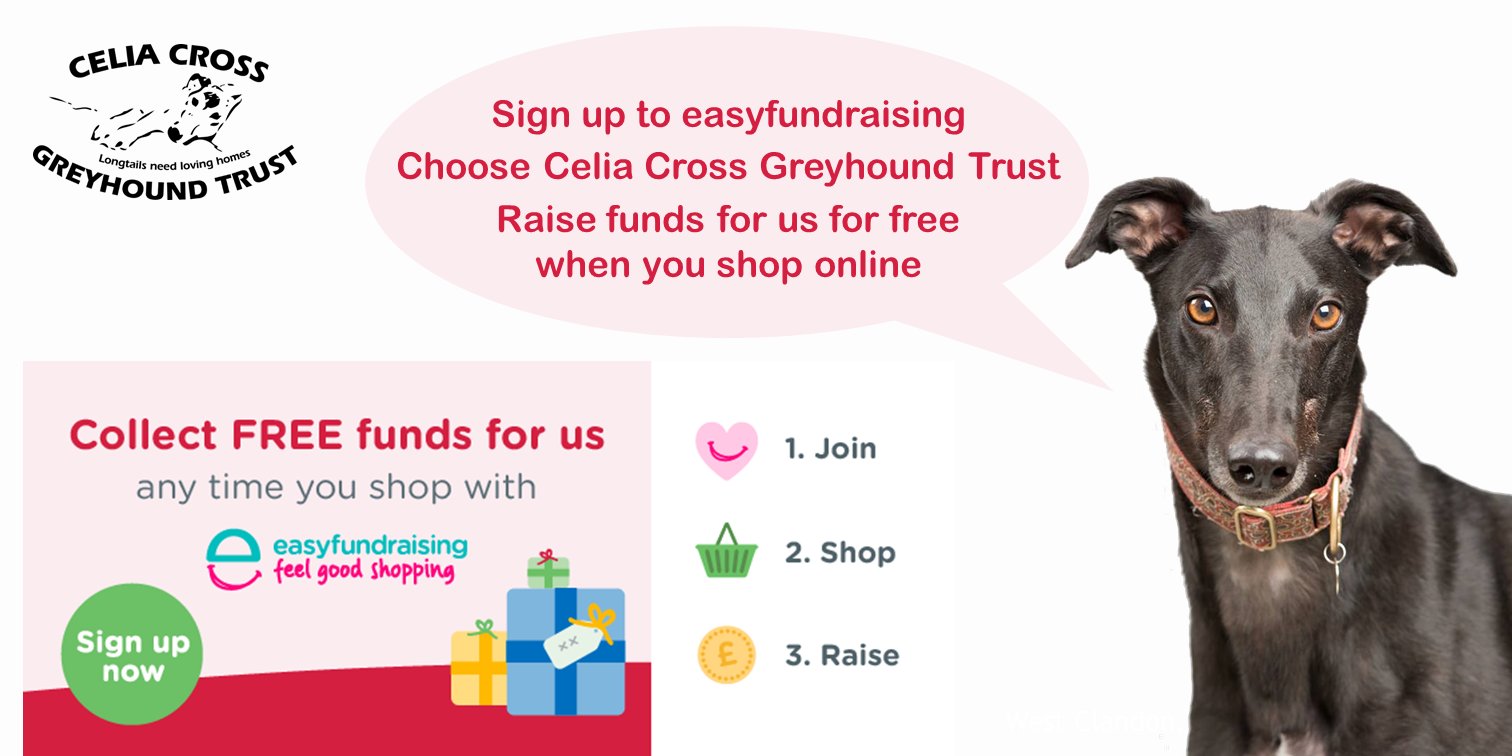 Greyhound trust cheap shop