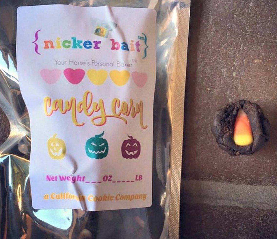 HorseBoxers LOVED <a href="/nickerbait/">Nicker Bait</a>  Candy Corn horse treats!