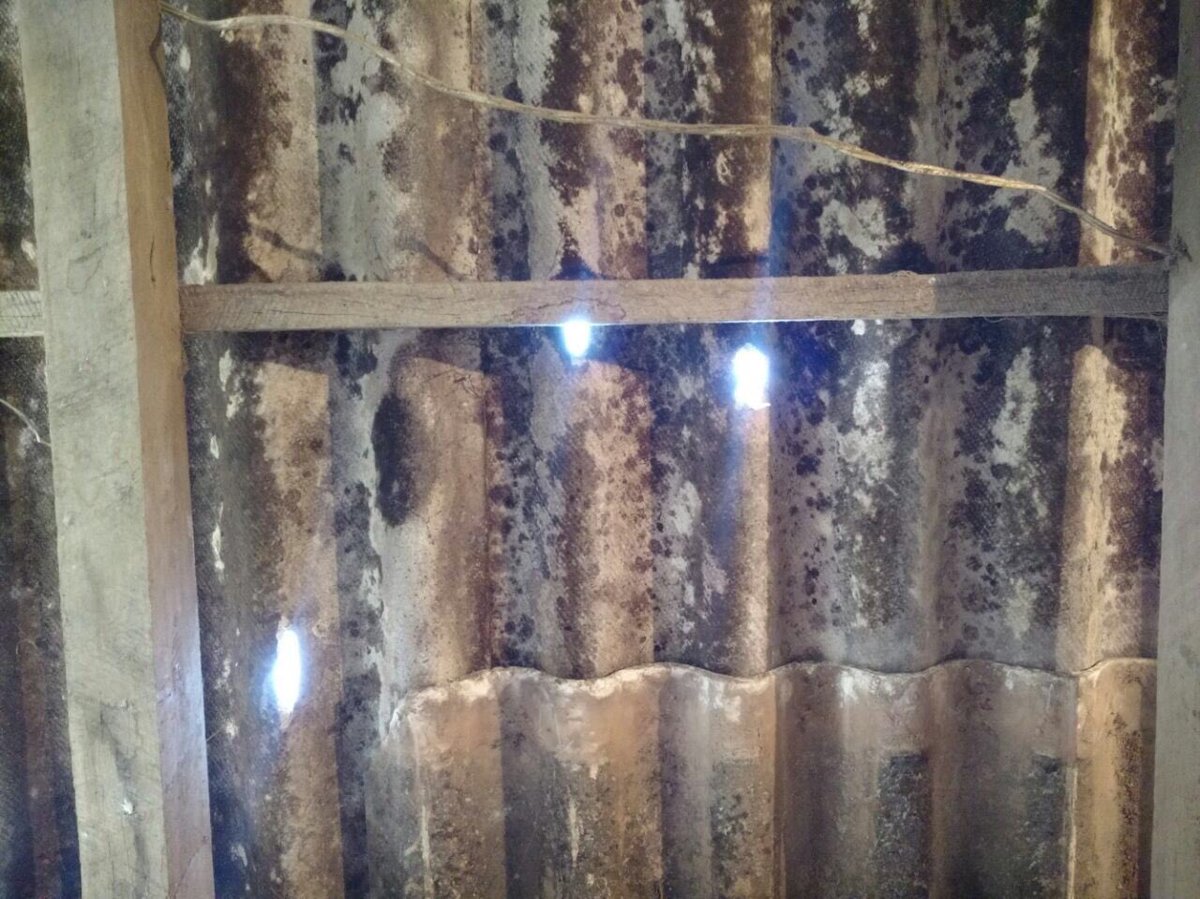 Junto a <a href="/Pedrolm29/">Pedro Maidana</a>  Intendente de Colonia Elisa vamos a contener y planificar la asistencia , en forma urgente cómo nos pidió <a href="/domingopeppo/">Domingo Peppo</a>