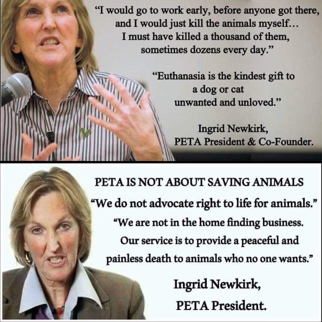 eDave733's tweet photo. Let this sink in… https://t.co/agLqQJcezB