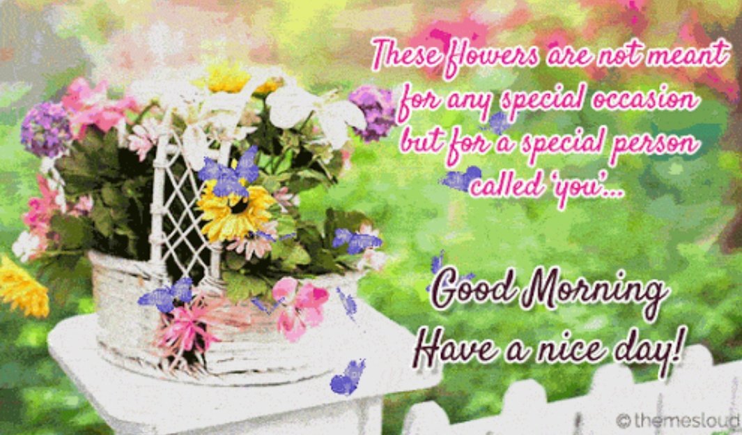 VathsalyaSrj's tweet photo. Good morning sweetoo @saurabhraajjain Have a great day 😘😘 #Stayhpy #keepsmiling always 😊😊 Love u ❤❤ https://t.co/U0q2kqxB8k