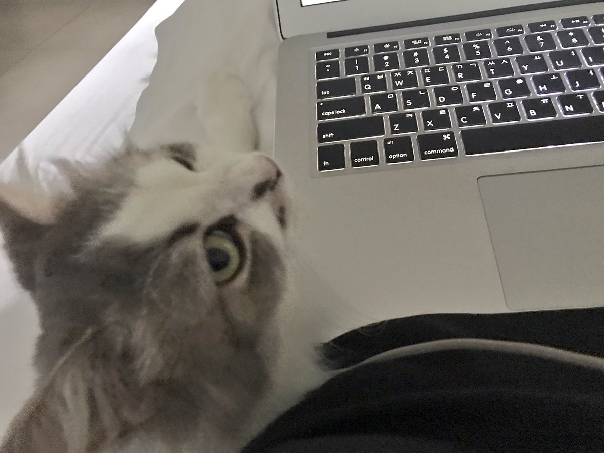 놀아줘 놀아줘 놀아줘 놀아줘