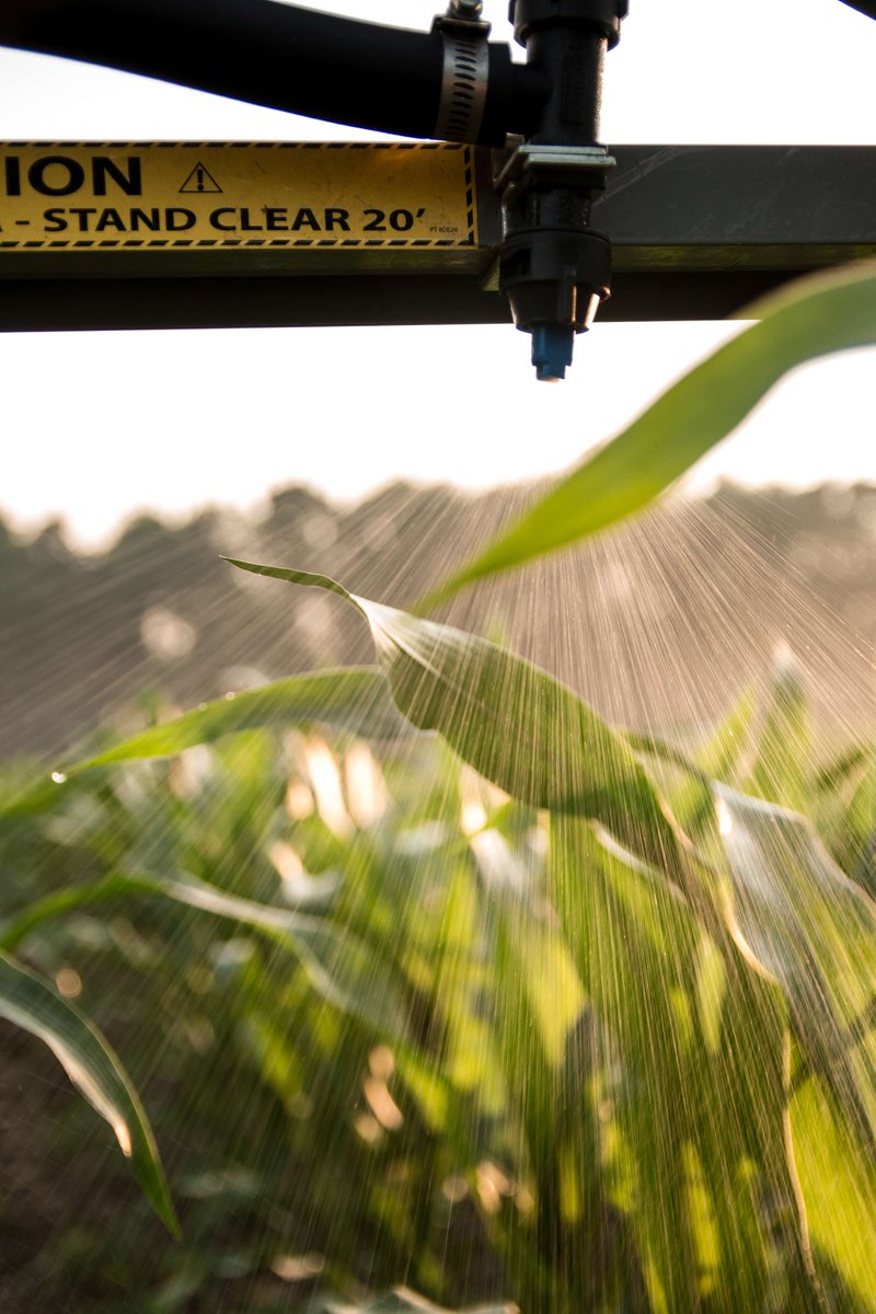 PaulBHardware tweet media