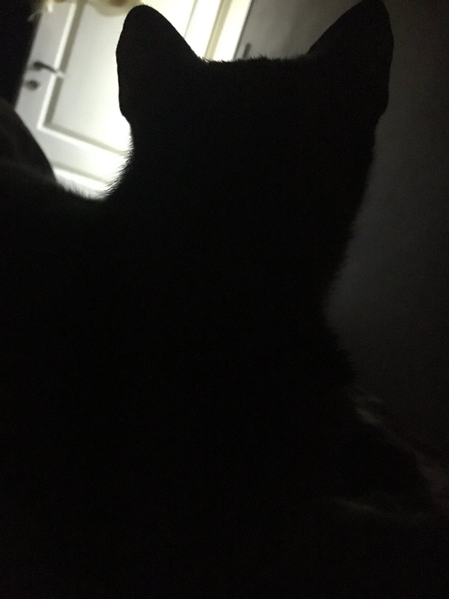 ChocopanUP's tweet photo. A dormir https://t.co/Ft4sHjEYzB