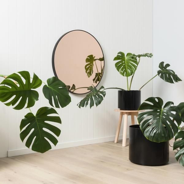 curiousgrace's tweet photo. New arrival! Everyone's favourite Flynn Mirror, updated with a dusk tint. Your morning hair routine just got better. 

https://t.co/5UOqXp2eKr https://t.co/5PLs8kfG4t