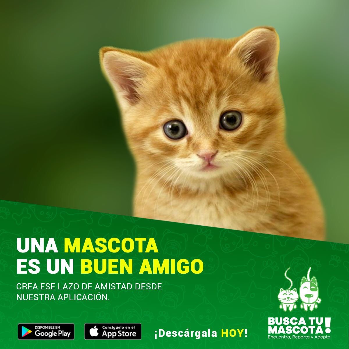 BuscaTuMascota_'s tweet photo. Únete a nuestra comunidad de usuarios.
#ios #Android #iphone #tablet #appmovil
GRATIS. https://t.co/ozoUwqdzaf https://t.co/u1fhEB4Cif