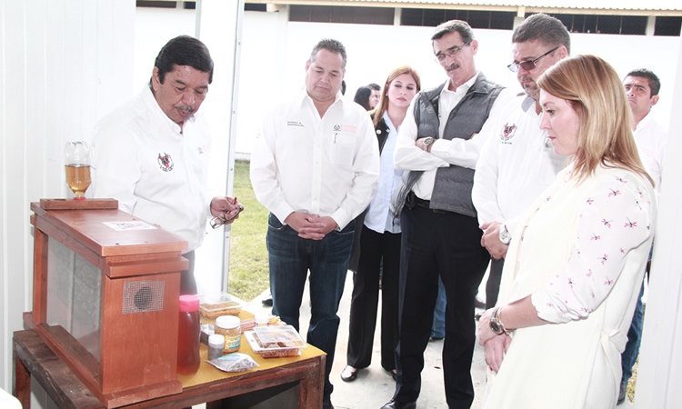 Inforío Tamaulipas tweet media