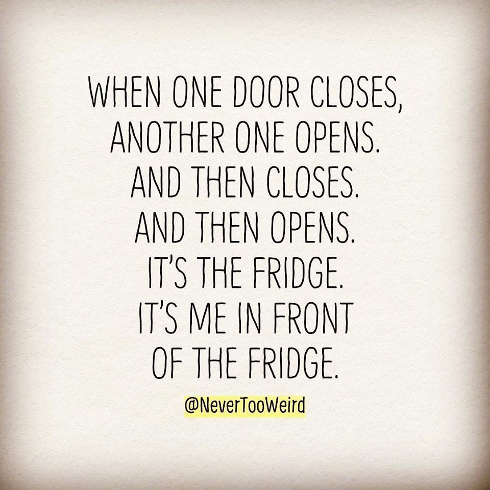 MelindaHoward4's tweet image. When's dinner?