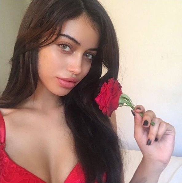 retrosmilaa's tweet photo. red red roses 🌹🌹 https://t.co/cR2PJR87IC