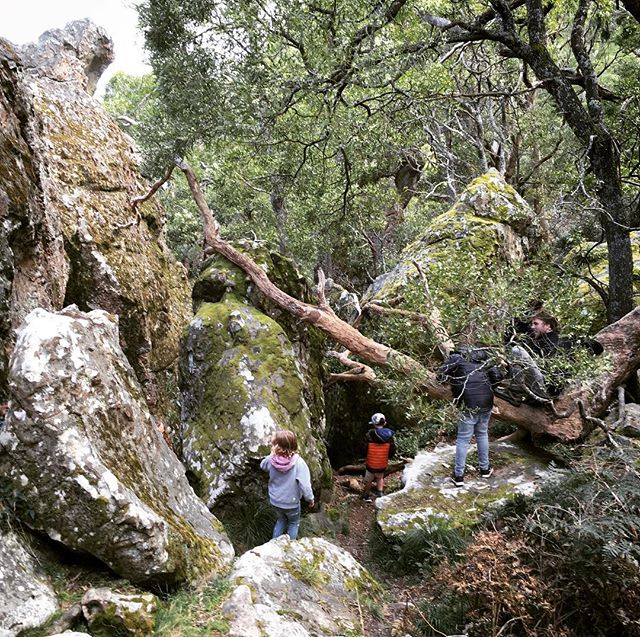 BranchOutAdv's tweet photo. Go forth and explore! #gobranchout #hangingrock #adventureholidays #familyadventure #discovervictoria https://t.co/hwIXI1UdNm