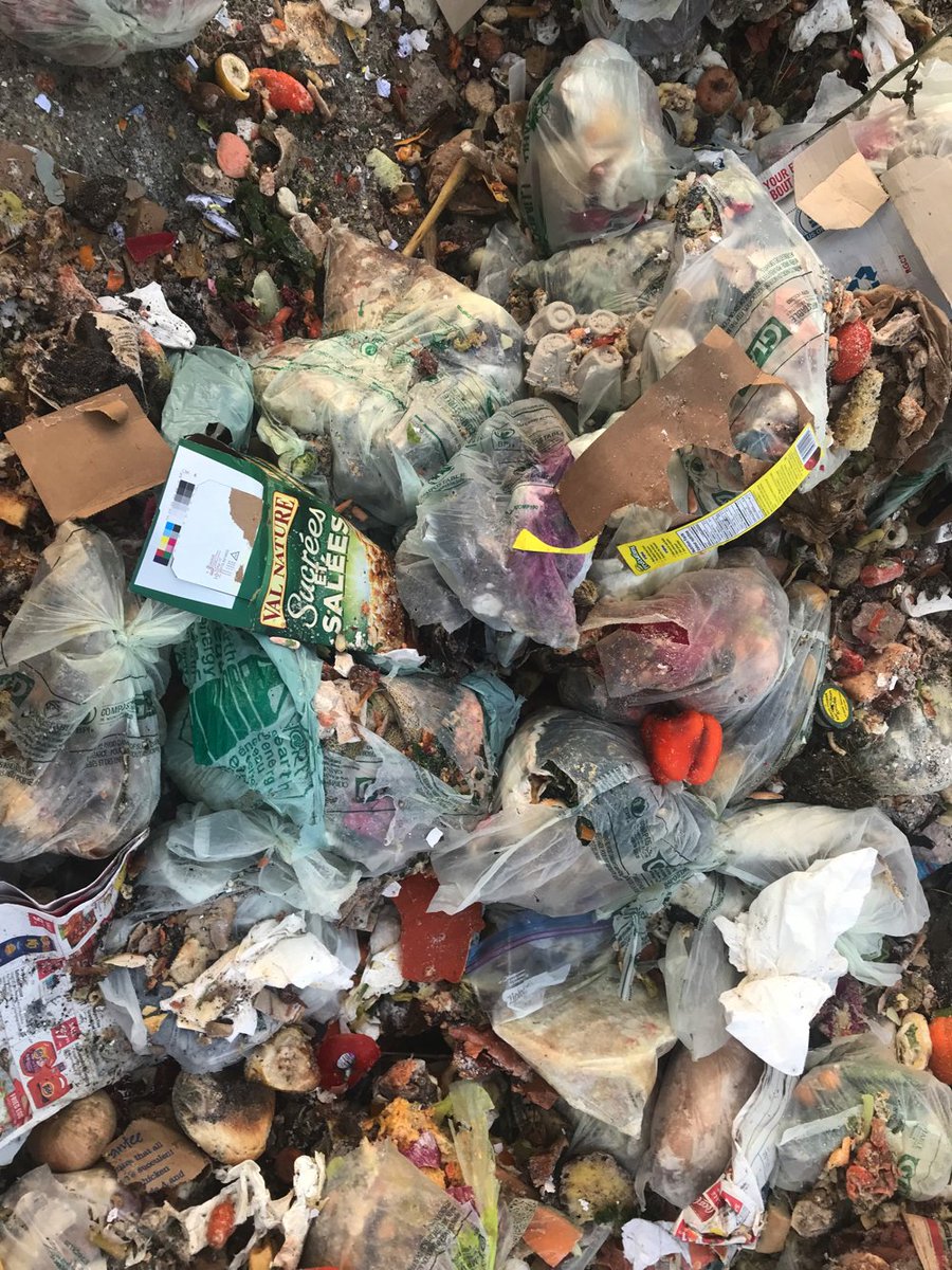 EcologyNorth's tweet photo. Can YOU spot the three main items that will have to be pulled out of the compost pile in this pic? Hint - it will never break down! #compostnotcompost #manualsorting https://t.co/W93G012sts
