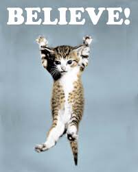 slinkybears's tweet photo. Some motivational cats for my @BOB166 you can do it!!! #tncallingii #liverpooltotennessee https://t.co/vqQRiZOw0C