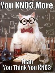 slinkybears's tweet photo. Some motivational cats for my @BOB166 you can do it!!! #tncallingii #liverpooltotennessee https://t.co/vqQRiZOw0C