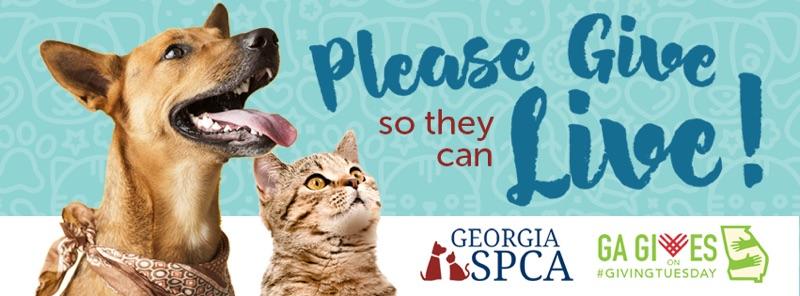 GeorgiaSPCA's tweet photo. It's Georgia Gives on #GivingTuesday! If every Georgia SPCA supporter gave just $25, it would make such a difference in so many homeless animals' lives.  
Please help us raise $30,000 to provide care to rescued animals for 2 months. https://t.co/YpxezLFlOE https://t.co/AkvogEppCY