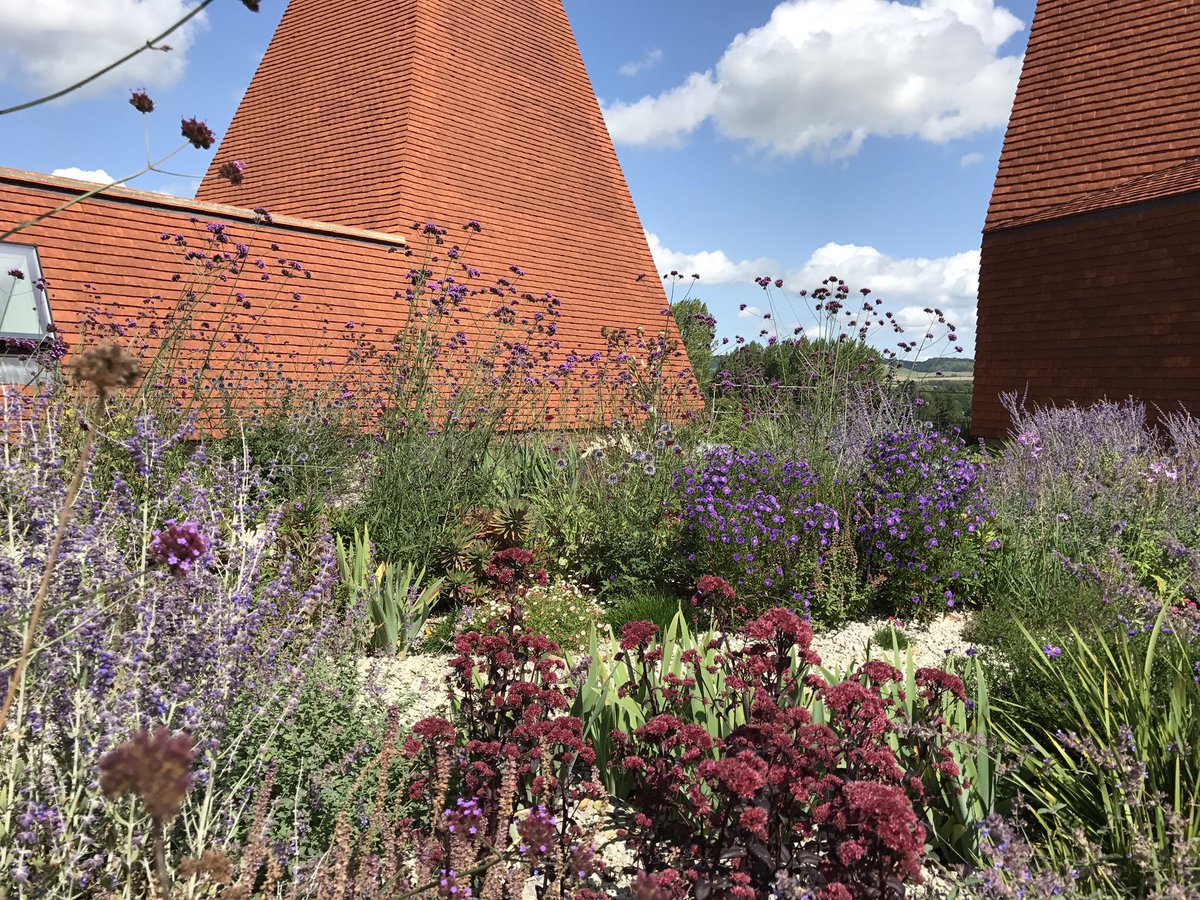spacehubdesign's tweet image. RIBA House of the Year WINNER! proud to have designed the landscape &amp;amp; gardens for this amazing home, thanks to inspired client and great collaborative design team @riba #granddesigns #houseoftheyear #caringwood #macdonaldwright @macdonaldwright #ruraloffice #landscapeinstitute