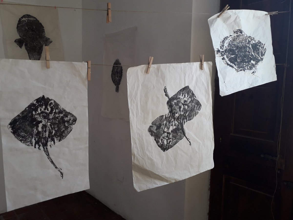 angelsoteras's tweet photo. Peix per sopar? No, taller gyotaku d'impressió de peixos al @mmp_capellades del darrer #PaPerPaPer https://t.co/cHGnJZF9Bd