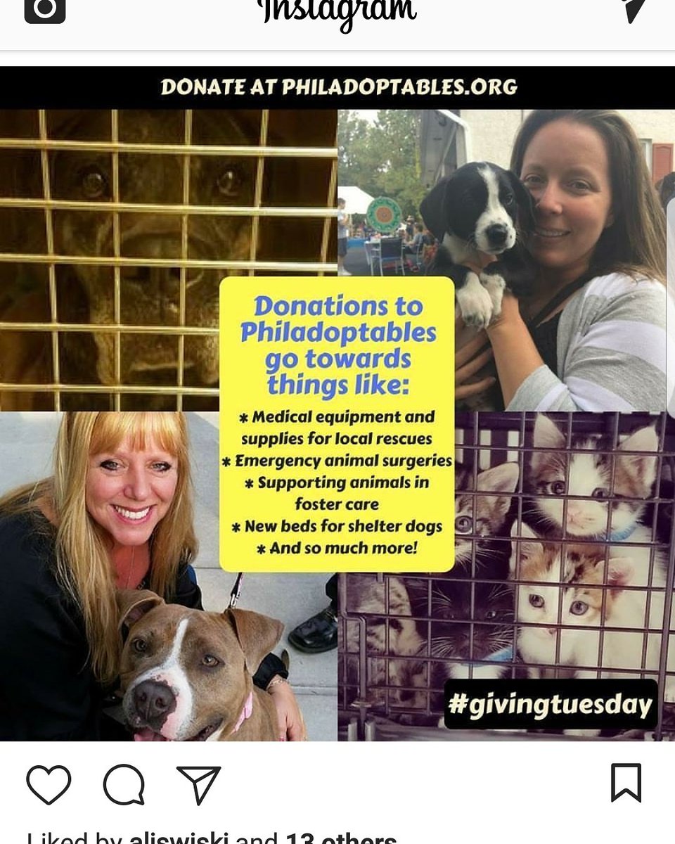 Philadoptables's tweet photo. #givingtuesday2017 #animalwelfare #helpourmission #501c #alldonationsaretaxdeductible  #adoptdontshop #pleasehelpus #thankyou pleaseRT https://t.co/dPAExPrWeU