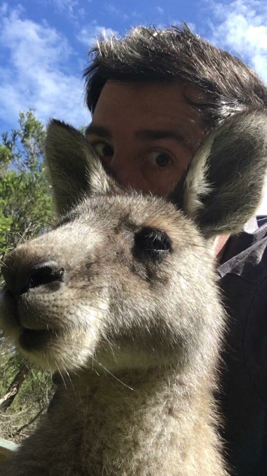MrRobbieCatMan's tweet photo. @antanddec well done love the @imacelebrity #jungle and well done @joeldommett &amp; @ScarlettMoffatt are fab on #XtraCamp x @ITV can’t judge last years as I was in #Australia ! https://t.co/9bkV6EgEky