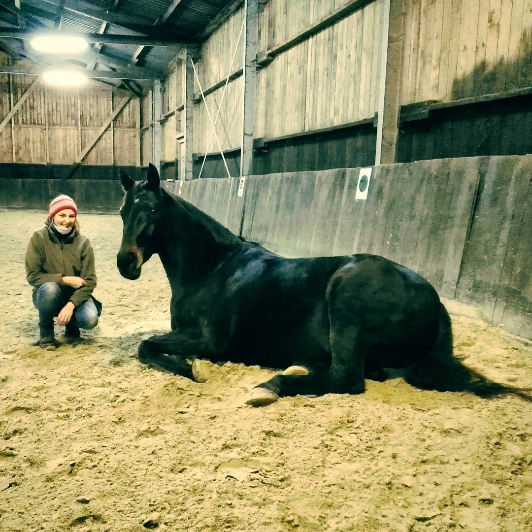 ❤🐴 #SchwangerschaftundPferd